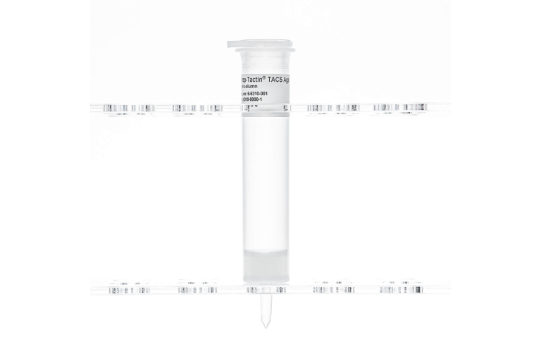 Strep-Tactin® TACS Agarose