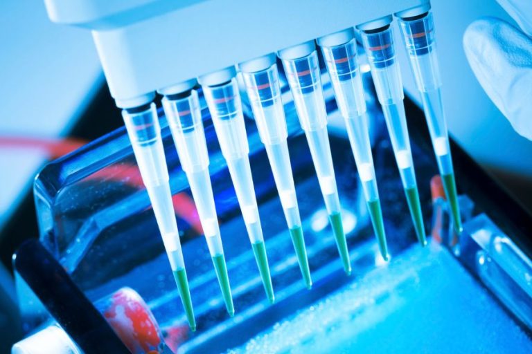 gel electrophoresis