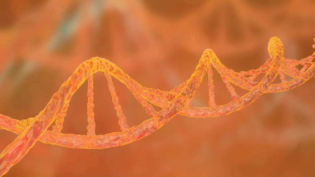 DNA strand in orange setting