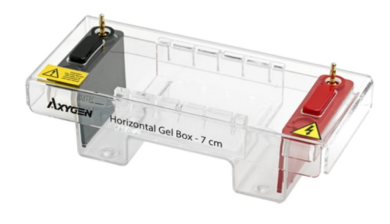 Horizontal Gel Box
