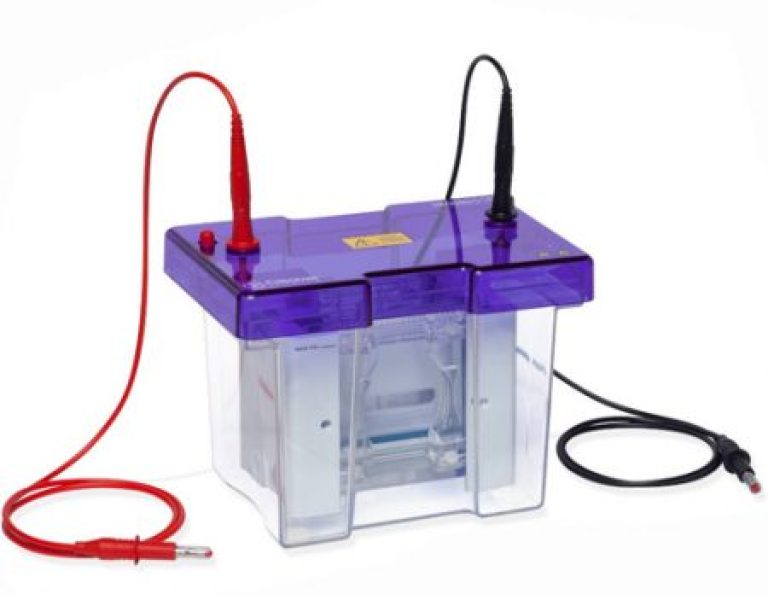 omniPAGE Mini Vertical Electrophoresis System