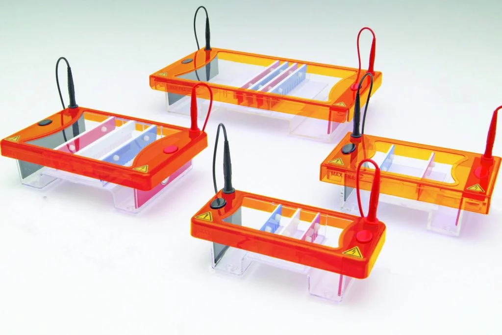 cleaver multisub grouped