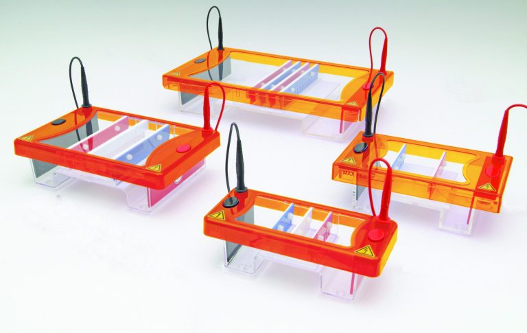 cleaver multisub grouped