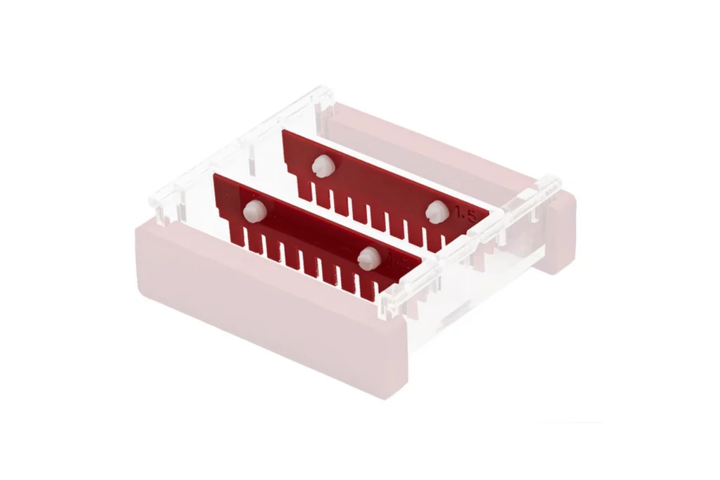 Axygen Gel Carrying Tray.