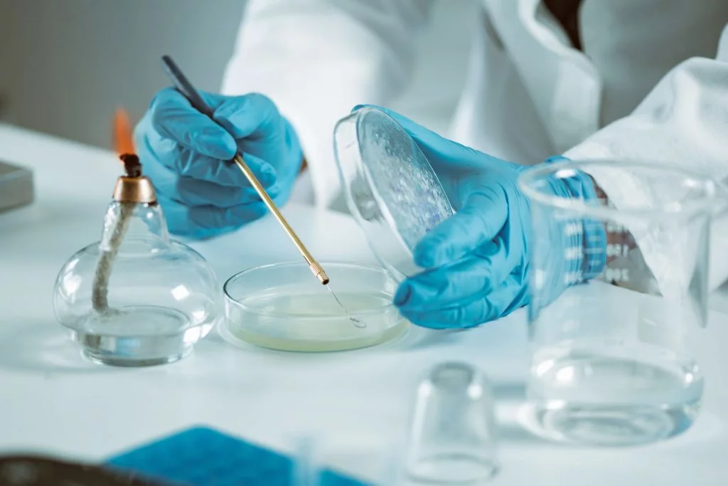 a researcher using microbiology lab equipment