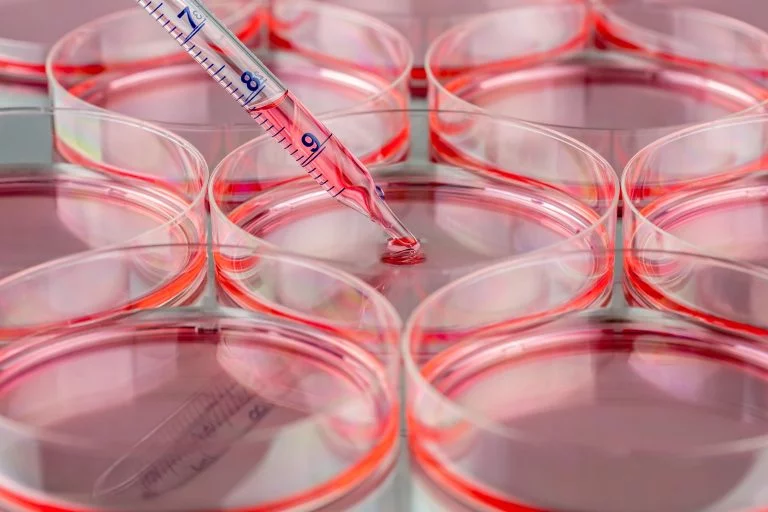 cell and tissue culture equipment