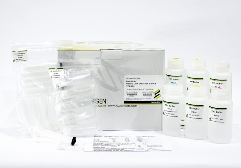 FavorFilter™ Midi Plasmid Extraction Kit, Ion Exchange