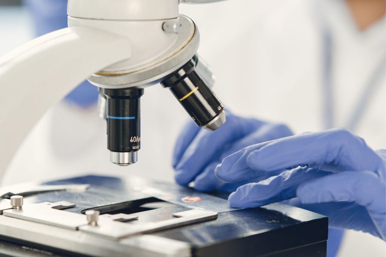 molecular biology kits