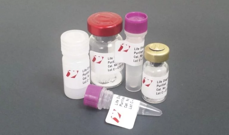 Life Diagnostics Antibodies