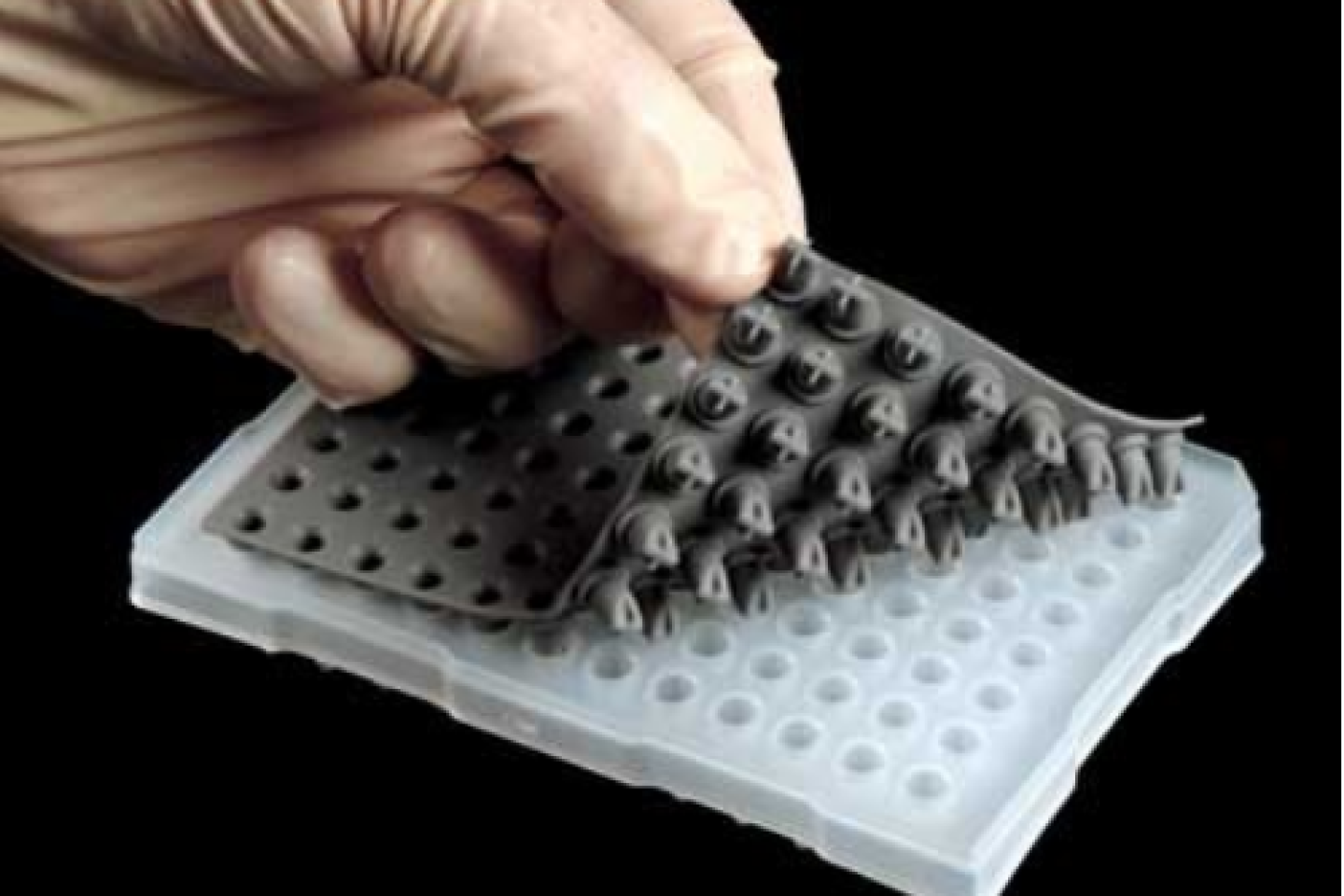 Axygen AxyMats 96 Well Silicone Septa Mat - FB Australia
