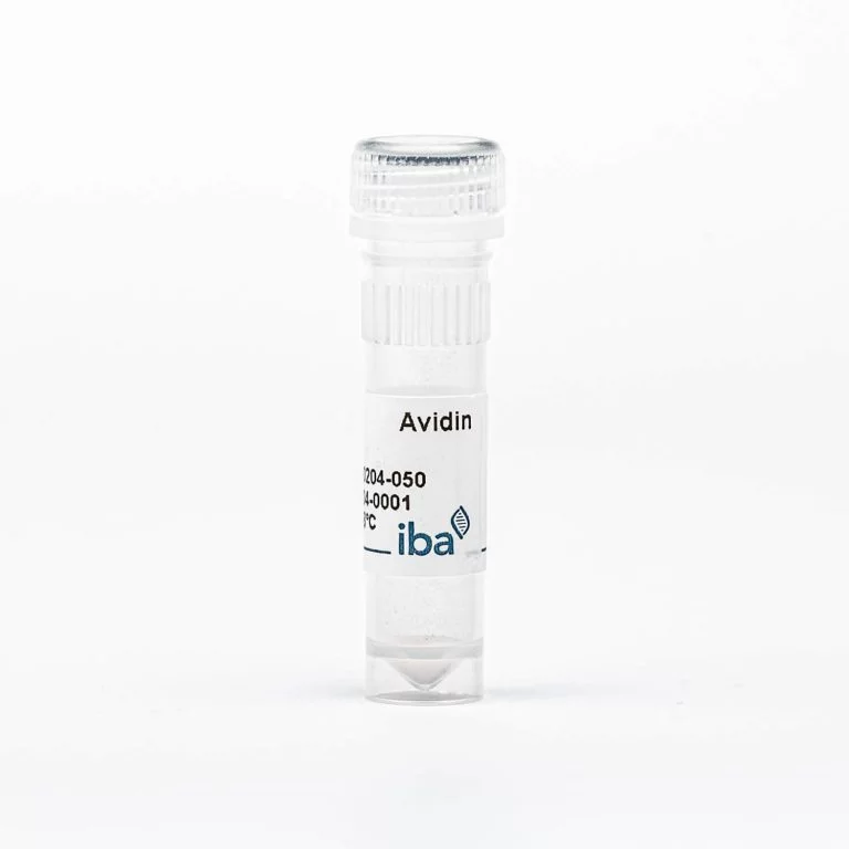 Avidin