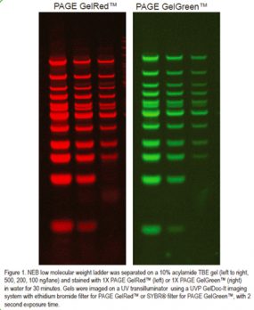 Biotium Gel Red Green 02 Aug18