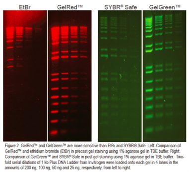 Biotium Gel Red Green web Aug18