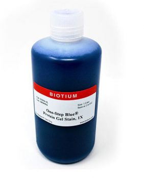 Biotium protein gel stain Aug18