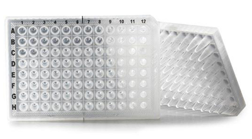 Axygen Auto PCR plates 02 Sep18