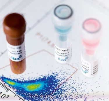 IBA MHC1 Streptamer TCell staining Jul18