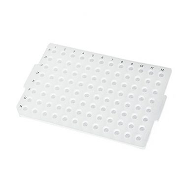 Axygen Microplate am 96 pcr rd 18Jan18