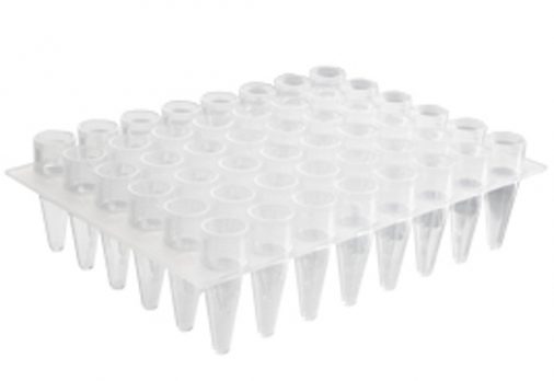 Axygen Microplate pcr 48 c 18Jan19