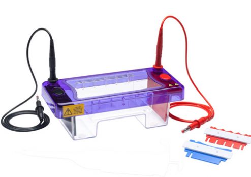 Cleaver multisub electrophoresis systems H03 11Mar19