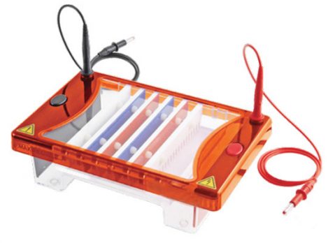 Cleaver multisub electrophoresis system02 Jun19