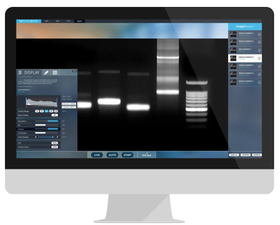 Vilber Bioprint CX4 Edge screen 15Jan20