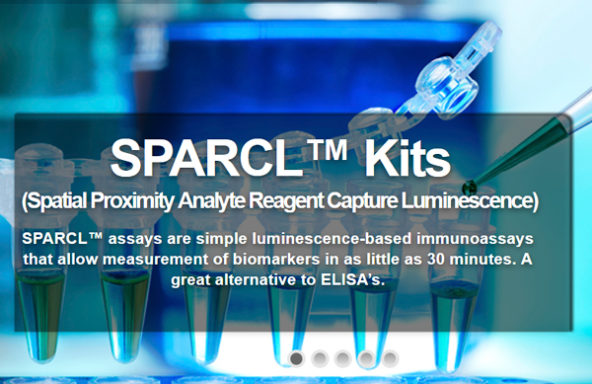 LifeD Sparcl Kits 8Dec20