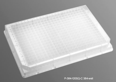 Axygen Deep Well Plate P 384 120SQ C 2Feb21