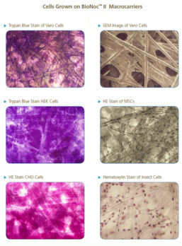 Esco VacciXcell BioNOC II 02 24Feb21