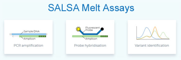 MRC Holland SALSA Melt Assays 13Feb21