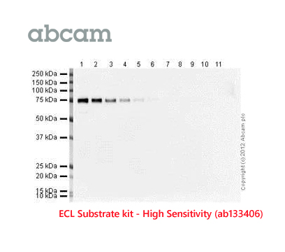 Abcam ECL Substrate kit HS 27Oct21