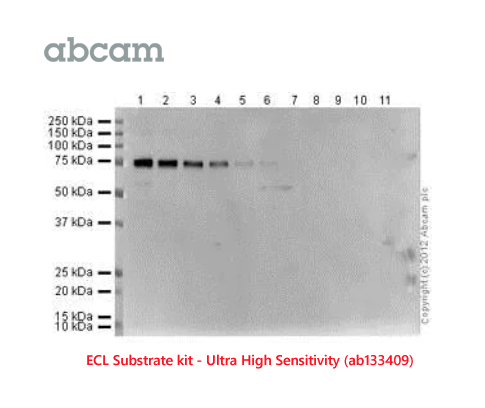 Abcam ECL Substrate kit UHS 27Oct21