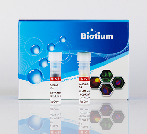Biotium CellBrite Steady Membrane Stain 23Nov21