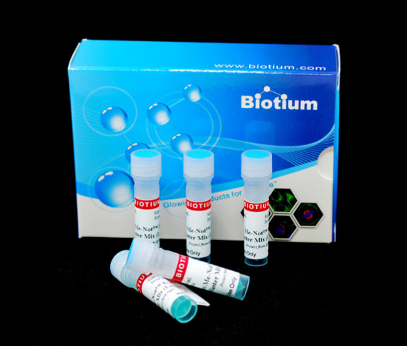 Biotium Forget Me Notx2 EvaGreen qPCR MM 22Nov21