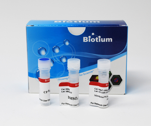 Biotium MemBrite Fix Cell Surface Staining kit 23Nov21