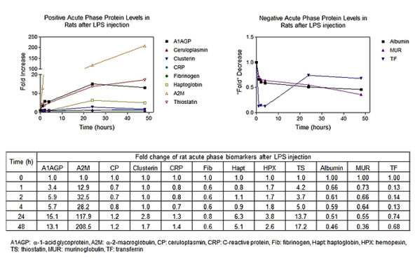 LifeD Acute Phase Protein Ilustration 2Dec21