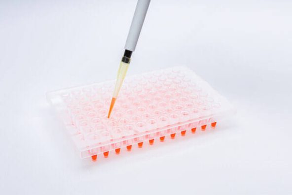 ClearASeal Pierce PCR