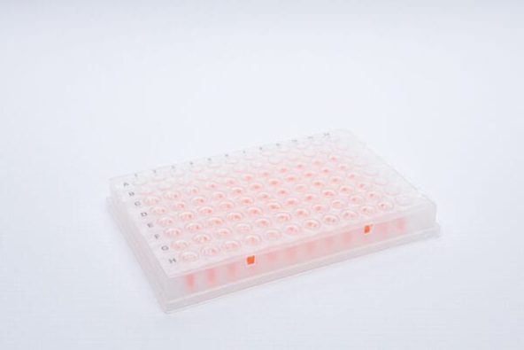 ClearASeal Perf